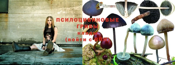 кокаин колумбия Богородицк