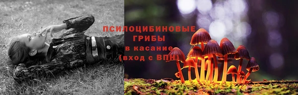 кокаин Богданович
