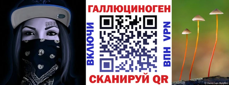 кракен tor даркнет сайт дарк нет какой сайт Псилоцибиновые грибы Psilocybine cubensis Вельск